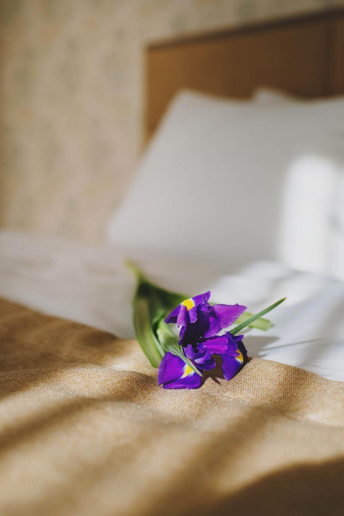 Hotel Alkor 트루스카베츠 객실 사진
